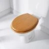 Addis Wood Finish Toilet Seat 1 Addis Wood Finish Toilet Seat -Home Decor Store 332126 addis wood finish toilet seat oak
