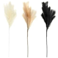 B&M Pampas Stem - Cream 7 B&M Pampas Stem - Cream -Home Decor Store 372800 395541 394382 pamas stem group