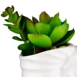 B&M Scandi Shore Small Shell Succulent 16 B&M Scandi Shore Small Shell Succulent -Home Decor Store 380110 small shell succulent 2
