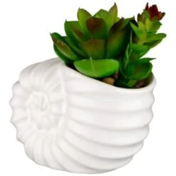 B&M Scandi Shore Small Shell Succulent 14 B&M Scandi Shore Small Shell Succulent -Home Decor Store 380110 small shell succulent 3