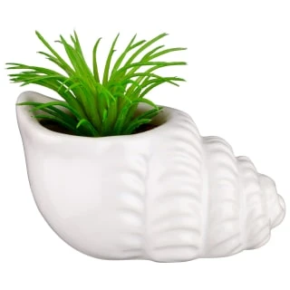 B&M Scandi Shore Small Shell Succulent 4 B&M Scandi Shore Small Shell Succulent - Image 2