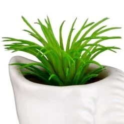 B&M Scandi Shore Small Shell Succulent 18 B&M Scandi Shore Small Shell Succulent -Home Decor Store 380110 small shell succulent 5