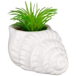 B&M Scandi Shore Small Shell Succulent 15 B&M Scandi Shore Small Shell Succulent -Home Decor Store 380110 small shell succulent 6