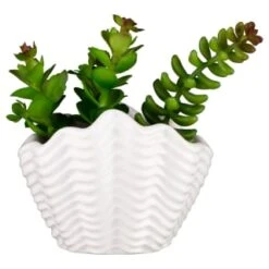 B&M Scandi Shore Small Shell Succulent 13 B&M Scandi Shore Small Shell Succulent -Home Decor Store 380110 small shell succulent 7