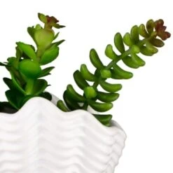B&M Scandi Shore Small Shell Succulent 19 B&M Scandi Shore Small Shell Succulent -Home Decor Store 380110 small shell succulent 8