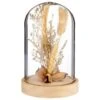 B&M Dried Flowers In Cloche - Natural -Home Decor Store 380163 dried flowers in cloche