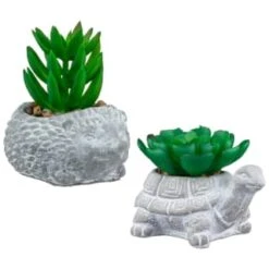 Bloom Mini Animal Succulent - Hedgehog -Home Decor Store 392859 mini animal succulent group