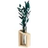 B&M Plant In Glass & Wooden Vase -Home Decor Store 394337 plant in glass and wooden vase