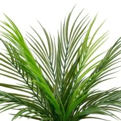 B&M Fern In Double Handle Pot -Home Decor Store 394340 fern in double handle pot 2