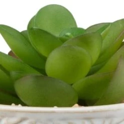 B&M Assorted Embossed Pots -Home Decor Store 394664 embossed pot 6